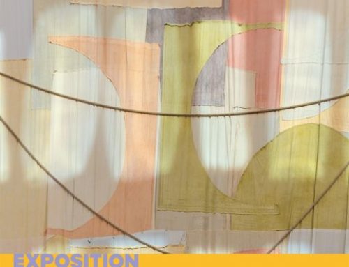 Êtres Méditerranée au Mo.co Panacée