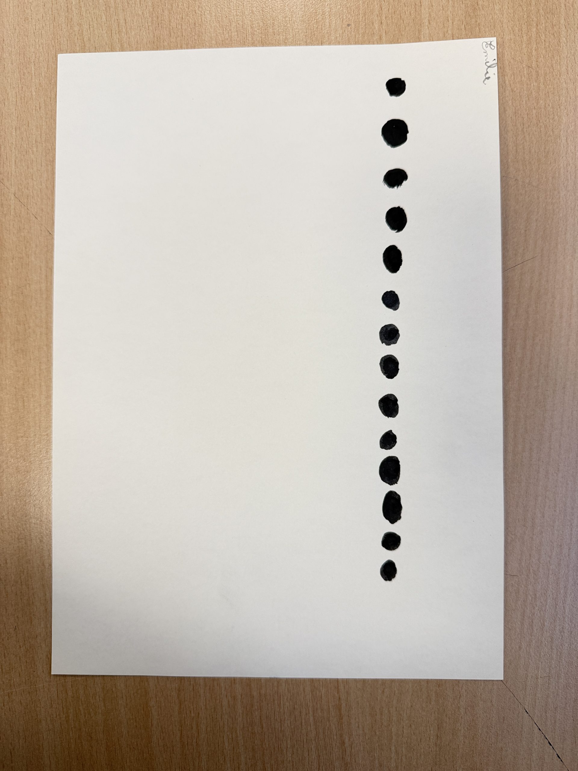 Photo 26-03-2026 12 16 27 (1)